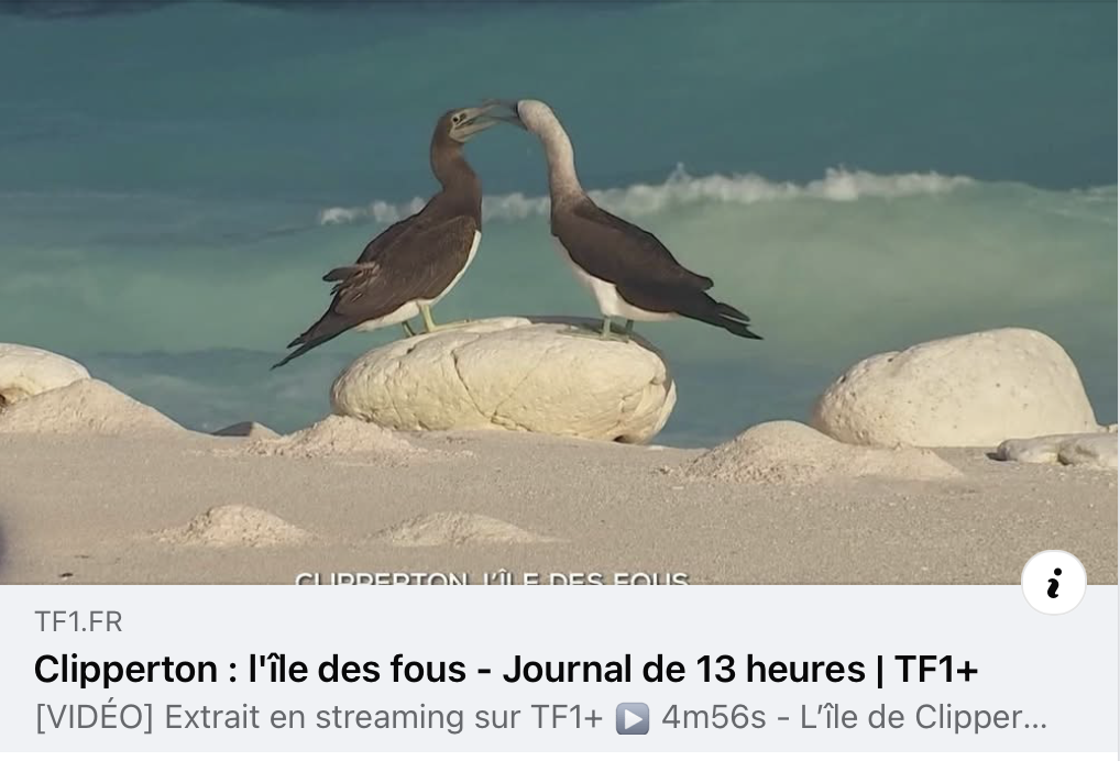 Le 13h de TF1