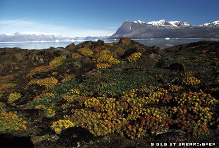 629ffa4ddf56e4203b68f097290c46bf91aab9d1