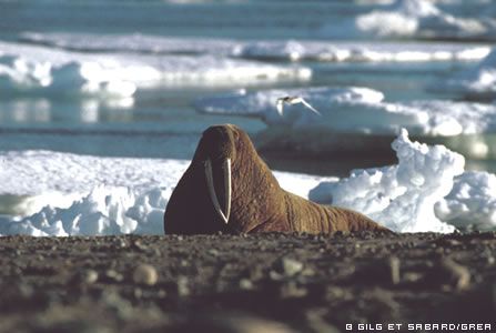 acf5529e939e6e97f8db704ec68e779563e43ffc acf5529e939e6e97f8db704ec68e779563e43ffc