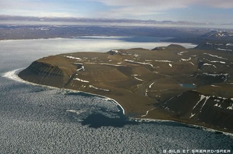 c9b589a0a61a42dd32787886caf610f364012d58 c9b589a0a61a42dd32787886caf610f364012d58