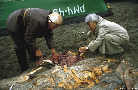 db0baa4ae49b49320b425d5dd107f7d8cb8c9d43