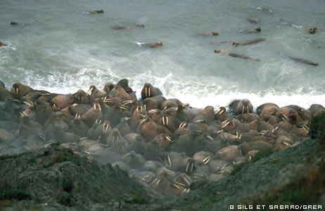 e7d54cdf81dfd59c0024120918373416abdde913 e7d54cdf81dfd59c0024120918373416abdde913