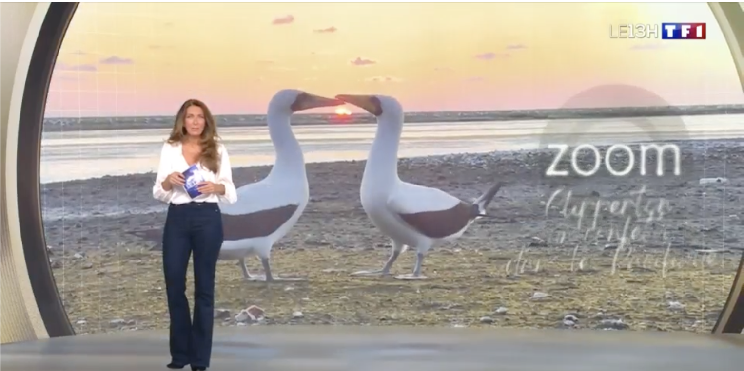 Le 13h de TF1 Week-end